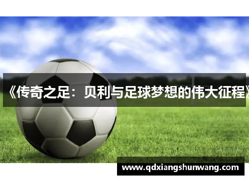 《传奇之足：贝利与足球梦想的伟大征程》